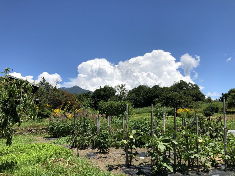 原村｜原村で注文住宅ならエルハウス