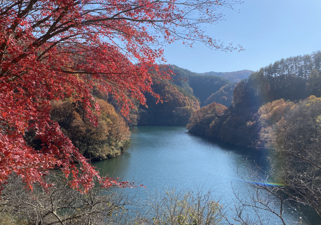 茅野駅 杖突峠 守屋山 松尾峠 もみじ湖 南峠 諏訪湖 上諏訪駅 片倉館 Lhouse