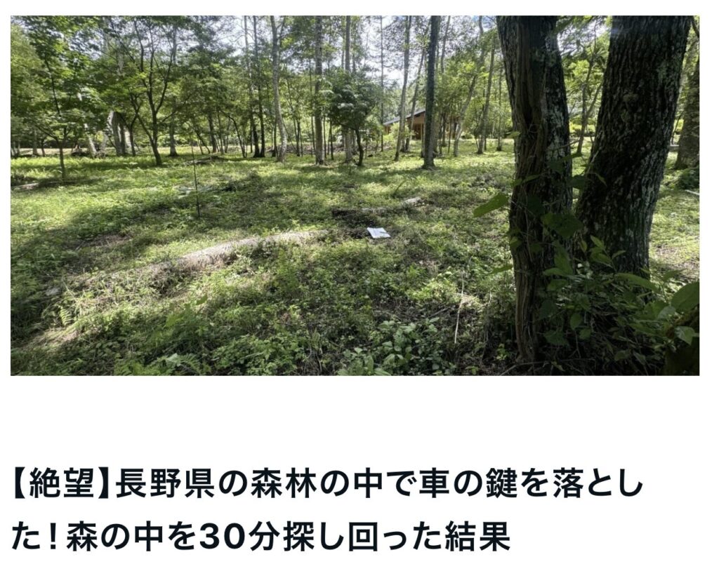 【絶望】長野県の森林の中で車の鍵を落とした！森の中を30分探し回った結果｜茅野市で注文住宅ならエルハウス