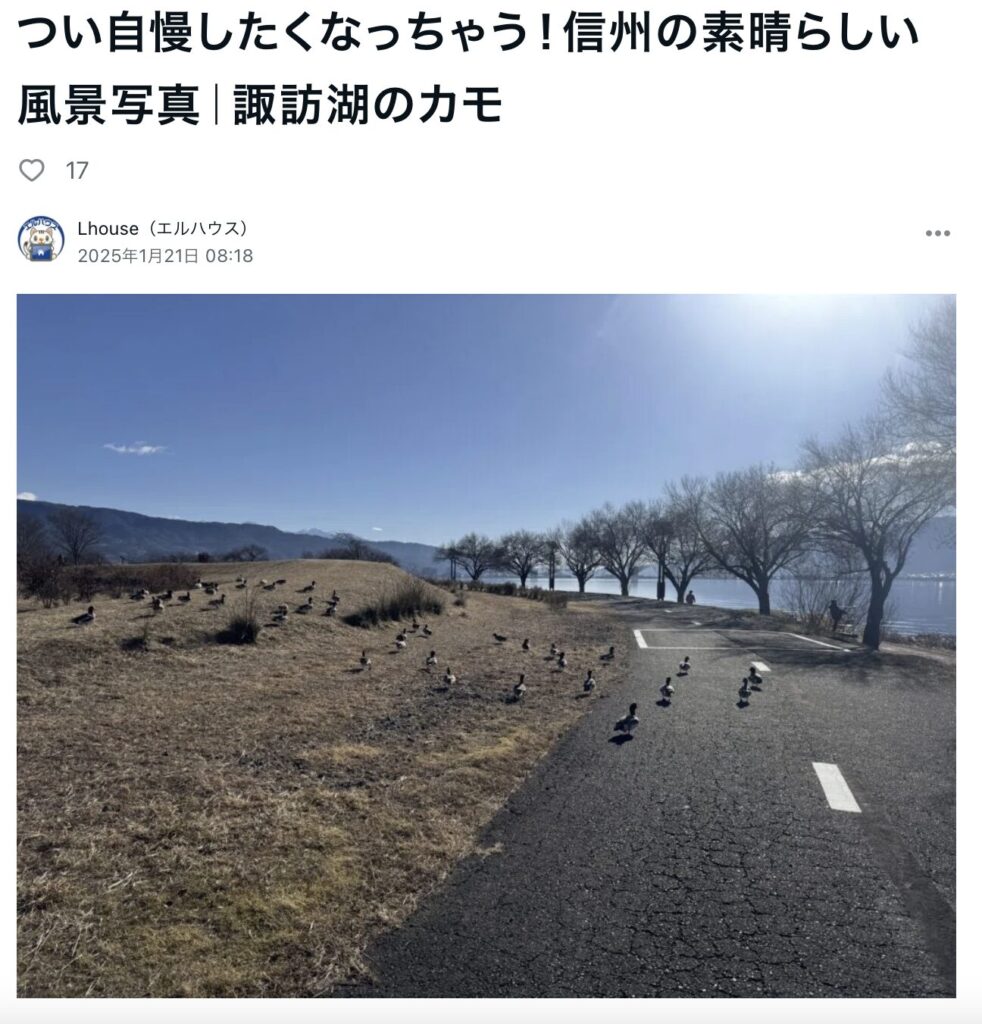 つい自慢したくなっちゃう！信州の素晴らしい風景写真諏訪湖のカモ｜諏訪市で注文住宅ならエルハウス