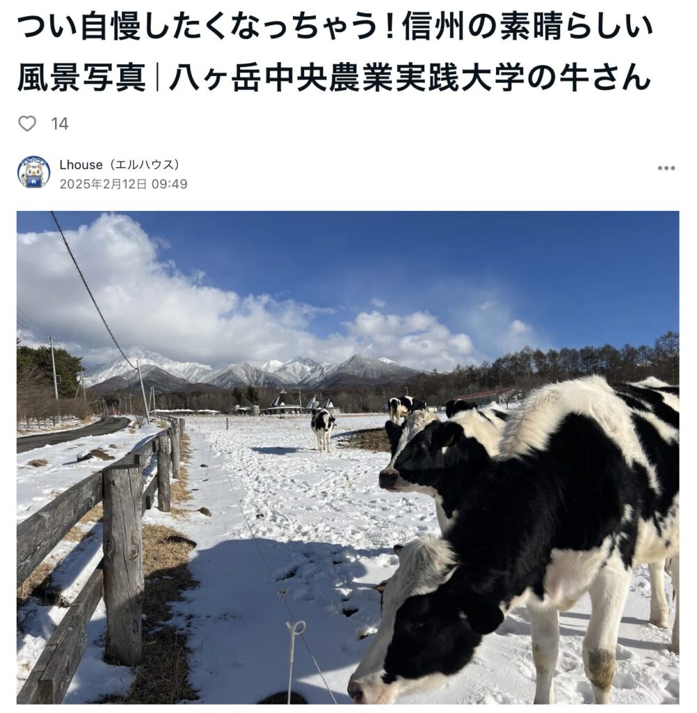 つい自慢したくなっちゃう！信州の素晴らしい風景写真｜八ヶ岳中央農業実践大学の牛さん｜エルハウス